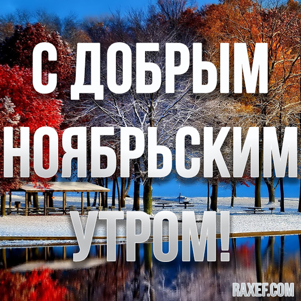 Доброе ноябрьское утро! Картинки, новые открытки! Поздняя осень уже, ребят! Пусть каждая минута уходящей осени подарит...