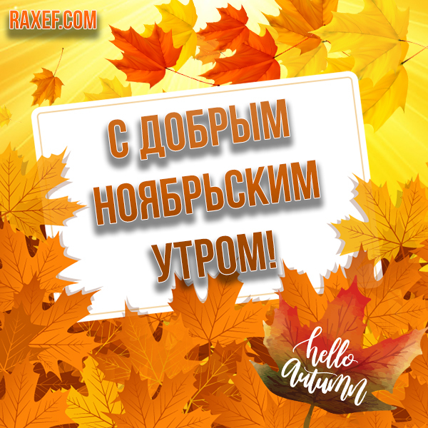 С добрым ноябрьским утром! Картинка с листочками осени и красивой надписью!  Дорогие друзья, желаю вам...
