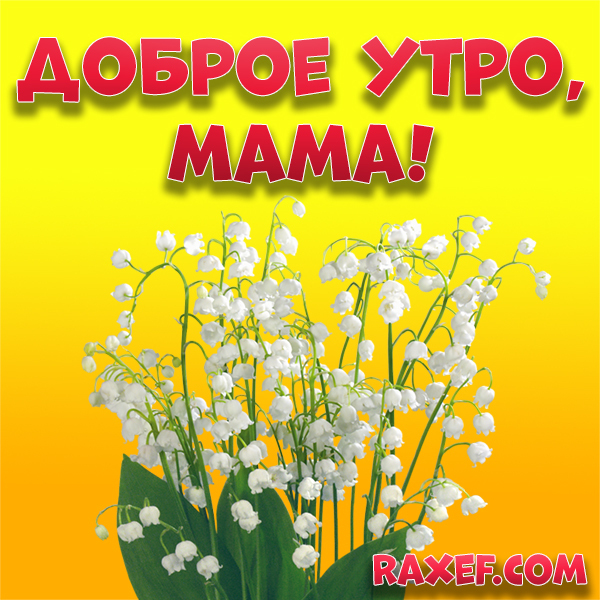 С добрым утром, мама! Картинка с ландышами! С цветами!