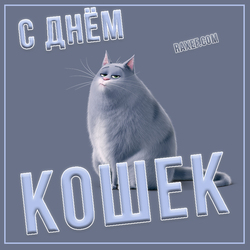 Postcard for the day of cats! Picture. Happy cats day.