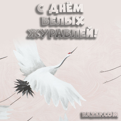 Celebration of white cranes! Postcard! Happy White Cranes Day! Picture!