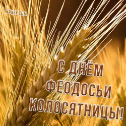 HOLIDAY OF FEODOSIA KOLOSYATNITSA! FEODOSIA KOLOSYATNITSA!