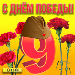 From May 9! Happy Victory Day! Beautiful postcard, picture with red carnations! carnations, flowers! Download!