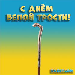 Happy White Cane Day! Postcard, picture!
