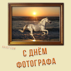 HAPPY PHOTOGRAPHER DAY! POSTCARD! PICTURE!