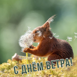 Happy wind day! Picture!