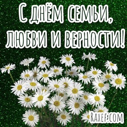 July 8! Day of Family, Love and Fidelity! A bouquet of daisies for a loved one! Picture, postcard! Download!