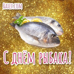 Fisherman's Day! Pictures, cards and congratulations for the holiday from the bottom of the heart! Postcards with cats and fish!