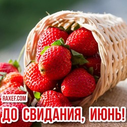 Goodbye June! Goodbye June! Picture, postcard! Download!