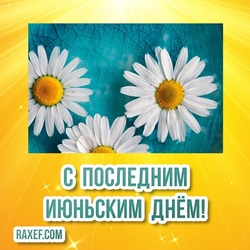 Picture for June 30! The last day of June! Postcard with daisies! The last day of the first month of summer!