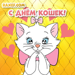 Postcard for the day of cats! A picture with a cute white cat! The cat from the cartoon!