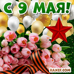 Postcard from May 9! Picture with Victory Day! Tulips, red star!