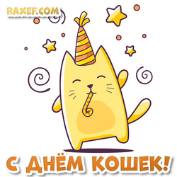 Happy Cats Day! Happy cats day picture! Funny cat!