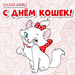 Happy Cats Day! A picture with a beautiful little white cat! 8 August!