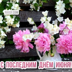 Postcard with nature and flowers for the last day of June! Picture with the last day of June!