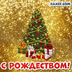 Postcard Merry Christmas on a gold background! Christmas tree with gifts! Picture of a Merry Christmas!