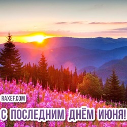 Postcards Last day of June! Pictures with the nature of our beloved Russia! Herbs of Russia! The woods!