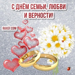 Congratulations on the day of family, love and fidelity! Picture, postcard! Chamomile! Congratulations are beautiful! New!