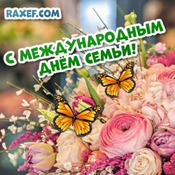 Happy International Family Day! Postcard, picture with flowers! Summer atmosphere on a postcard! Picture with butterflies for family day!