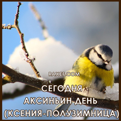 Aksinyin day, Ksenia-half-winter. Postcard. Picture.