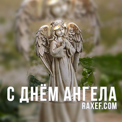 Angel Day: Taras, Alexander, Bogdan, Denis, Ivan, Kuzma, Makar, Martin, Nikolay. Postcard. Picture.