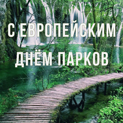 European Parks Day. Postcard. Picture.