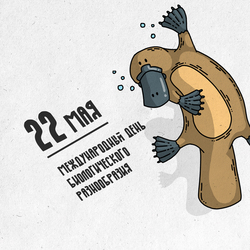 International Day for Biological Diversity. Postcard. Picture.