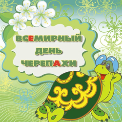 World Turtle Day. Postcard. Picture.