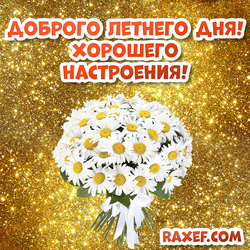 Have a nice summer day! Have a good mood! Postcard with daisies! Chamomile! Picture!