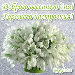 Good spring day! Postcard! Have a good mood! Picture with snowdrops! Snowdrops! Flowers!
