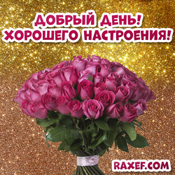 Good day! Have a good mood! Postcard, picture to a woman! Bouquet of roses! Gold background!