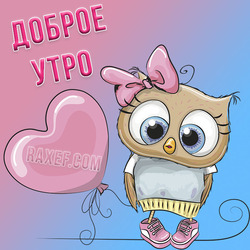 Delicate card with a cute owl! Good morning! Postcard!