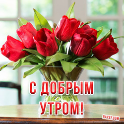 Postcard, picture with red tulips in a vase. Good morning!