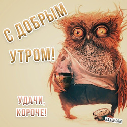 Postcard, picture with a sleepy owl. The owl seems to be from a hangover)))