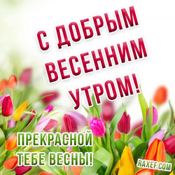 Postcard with flowers! Good spring morning! Picture.