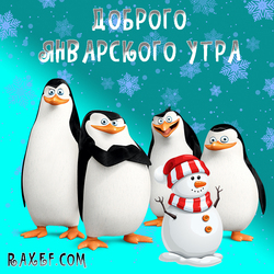Postcard with penguins! Good morning January! Madagascar! Cartoon! Kowalski! Good January morning!