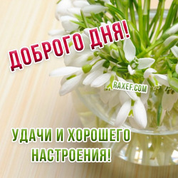 Postcard with snowdrops! Good day! Good luck and good mood!