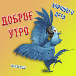 Postcard with a blue (blue) bird (parrot)! Good morning!