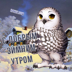 Postcard with an owl! Good winter morning! Winter!
