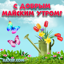 Good May Morning! Picture, postcard with flowers, butterflies, watering can, tulips!