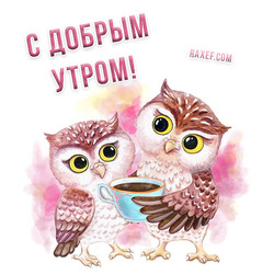 Good morning! Owls! Owl! Postcard with owls! Picture with an owl!