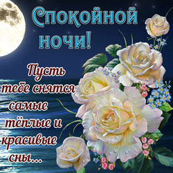 Postcard, picture with wishes of good night. Sweet Dreams! Go to sleep!