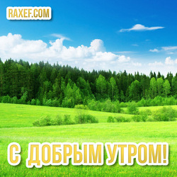 Good Morning Green Cards! Beautiful pictures with greenery! Good morning! Free download!