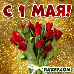 Открытка с 1 мая! День солидарности трудящихся! Тюльпаны! Картинка с красными тюльпанами!