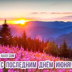 Открытки Последний день июня! Картинки с природой нашей любимой России! Травы России! Леса!