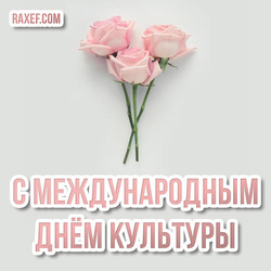 С международным днем культуры! Открытка! Картинка с розами! Розочки! Розы!