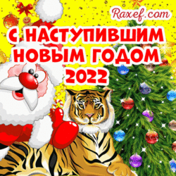 С наступившим новым годом 2022! Гифка, гиф, анимация, мерцающая открытка, мигающая картинка с 1 января! Поздравления на 1 января своими словами! Тигр! Дед мороз! Ёлка и блёски! Живая открытка!