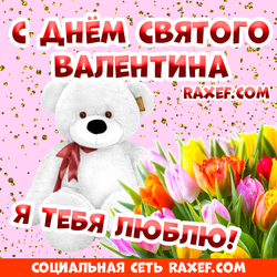 Я тебя люблю! Мишка, цветы любимой! С днём Св. Валентина! Поздравления на 14 февраля! С любовью на день всех влюблённых! Картинка! Открытка с тюльпанами и мишкой! Я тебя люблю!