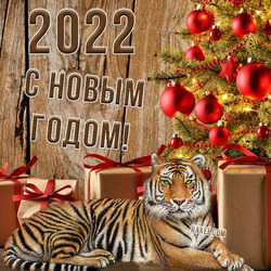 Открытка с тигром на новый год 2022!