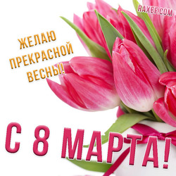 Розовые тюльпаны на 8 марта! Букет цветов для женщины! Картинка! Открытка!